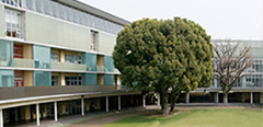 青山学院 初等部 様ロゴ