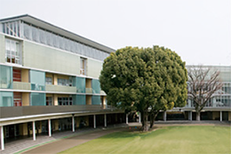 青山学院 初等部 様